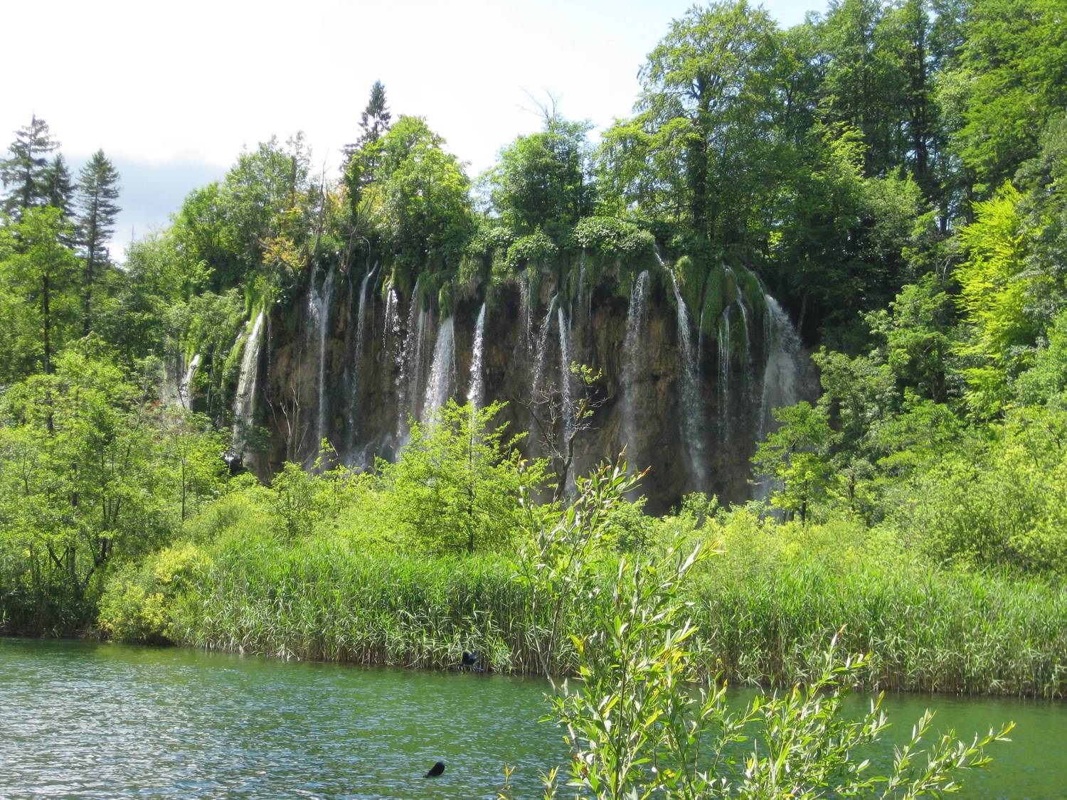 Viele verschiedene Wasserfälle.