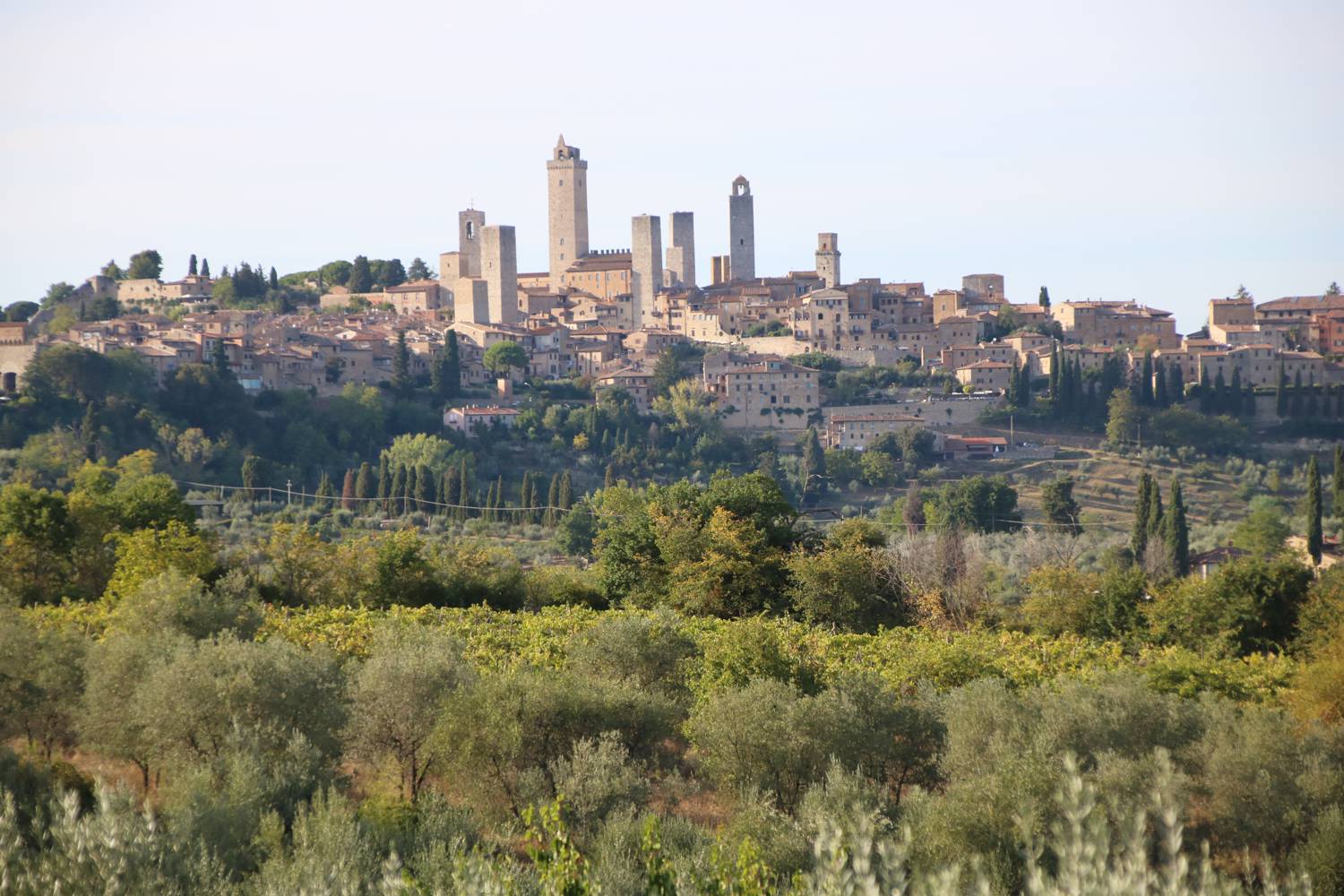 Die Skyline von San Gimignano.