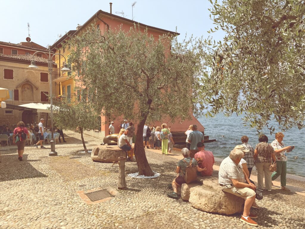 Stimmungsvolles Straßenbild mit Olivenbäumen in Malcesine